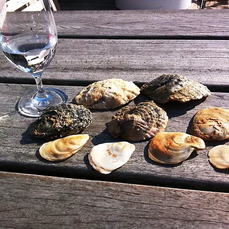 Tannenburg 203 - App Muscheloase Apartament