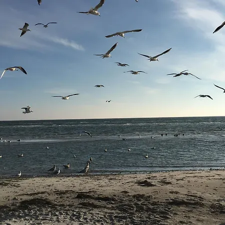 Apartament Tannenburg 203 - App Muscheloase *